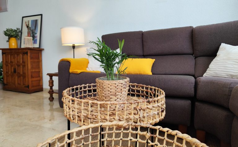 Salón con sofá de cartón 2 plazas